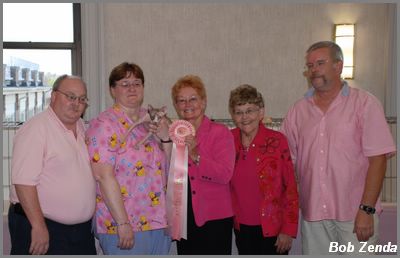 2nd Highest Scoring Sphynx